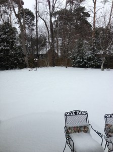 And then it snowed, which is really weird because it never does that here (eyeroll)