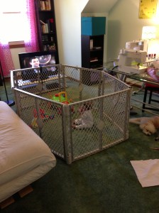 Turns out that it IS legal o cage your children