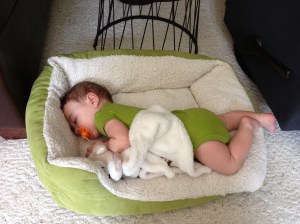 Looks like we've grossly overpaid for his crib.