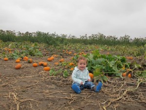 Baby's first pumpkin patch