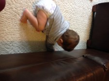 My hiding spot for remotes and phones has been discovered!  He's onto my antics. 