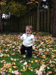 01b58c3993deea689c7fd9cc0a8d8f7917fbd4dbb0