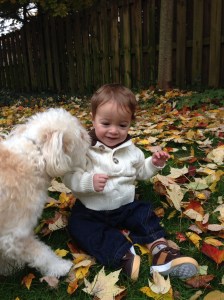 01d6c133a010cdcb4ef50c8ae8c9232ae33d02cf8c